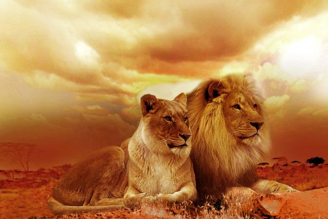 08/08 – The mystical power of the Lion’s Gate